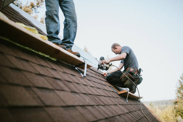 Best Storm Damage Roof Repair  in New Carrollton, MD
